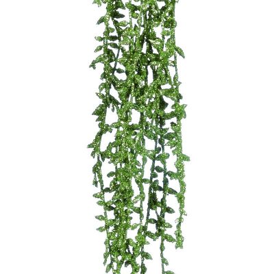 Λουλουδι Κρεμαστο Λαχανι 63cm