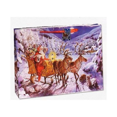ΤΣΑΝΤΑ ΕΛΚΗΘΡΟ 29Χ38Χ10CM (12TEM)